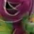 Barney Friends Red Blue And Circles Too Ending Credits