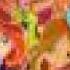Winx Club Season 4 Believix Your Magical Soundtrack