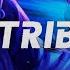 TRIBE NINE Official Trailer