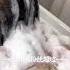 ASMR Head Massage And Scalp Scaling Shampoo