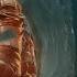 Microplastics Nature S Test Questions Gaia Is Testing Human Beings The Self Talking President