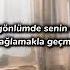Canın Sağolsun SEMİCENK Speed Up Sözleri