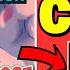 MAY 2025 CODES ROBLOX Warrior Cats Codes Warrior Cats Ultimate Edition WCUE CODES