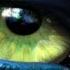 Avatar 2009 James Horner S Full Expanded Soundtrack