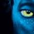 JAMES CAMERON S AVATAR Java OST Full Soundtrack Several Versions 1