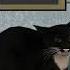 Maxwell The Cat Now Raps