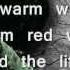 The Longer I Run Peter Bradley Adams Lyrics