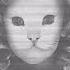 Mr Kitty Mother Mary Instrumental Remix