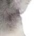 Cat Vs Wolf Theriangear Therian Alterhuman Antizoo Furry Gear Cat Wolf