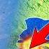 Romania STRIKES BACK Green Light To Shoot Russian Drones Out Of The Sky