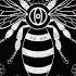 FrankyEffe RiVid Symbiosis Official Audio