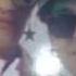 ITALO DANCE G A G FLY Chantee FRANCE 86