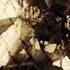 The Walking Dead Season 8 Official Intro 8 01 8 09 8 15