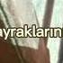 Ezim Ezim Rojda Şenses Kürtçe şarkı çevirisi