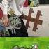 PVZ Zombie In Real Life