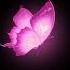 Ebanat508 Nightcore