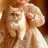 Cutest Princess Fashion Event Cute Princess Babies Fashion Runway Shorts