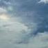 Leaping Sundog Aka Crown Flash
