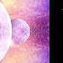 Skizologic Filteria Fabric Of Space