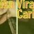 LINK Chika Viral 20jt Dicari Cari Awas Jangan Asal Klik Link Chika Tiktok 20 Juta