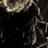 Gary Moore Still Got The Blues Best Version HD Audio