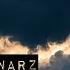 Schwarz Instrumental