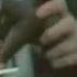 Commercial Burger King Ice Age 2 The Meltdown 2006