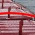 Dark Cargo 5 Mysterious Container Ships At Sea