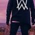 Alan Walker Style Inner Peace Yauri Music Remix
