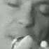 New Order Paradise