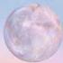 Super MOON Ai Furihata Speed Up
