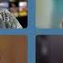 What Will It Take To Reverse Things In Ukraine Keeping The World Company