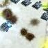 Shield Useless Art Of War 3 Confederation Depending On The Circumstances Of A Battle Aow3