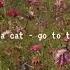Doja Cat Go To Town Slowed Down