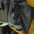 WILD HEART Dry Bags Review On CSC RX3 CYCLONE