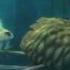 Ice Age Continental Drift Scrats Continental Crack Up 2 20th Century FOX