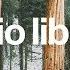 Gymnopedie No 1 Satie No Copyright Music