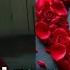 Prince Fazza Speaking English Short Love Poem Very Beautiful Poem Sheikh Hamdan Speech