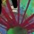 Cult Of Personality Living Colour