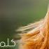3 كلمة عالورق جوليا بطرس Kelmi Al Warak Julia Boutros