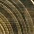 Rex Riddim Feat Carlos Scorpio Salvador Diaspora Fort Knox Five Mix