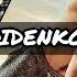 Best Of Didenko WORKOUT MOTIVATION Strongest Guy In Ukraine Powerful Men INSANE STRENGHT