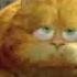 Garfield The Movie 2004 All Movie Trailers