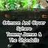 Crimson And Clover Sphere Tommy James The Shondells Music Rock Thesphere Vegas Tommyjames