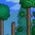 Terraria Jungle