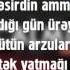 Okaber Ft Qara Dərviş Qocalmısan Lyrics Mahnı Sözləri