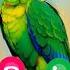 Ringtone Smartphone Music Ringtones