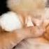 Cute Puppies Cute Animals Cute Dogs Cute Puppis Dog Lovers Cute Puppies Cute Kittens
