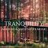 Tranquility Relaxing Ethereal Ambient Music Beautiful Relaxing Meditative Music
