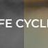 Last Day Dream EP Commentary Life Cycles